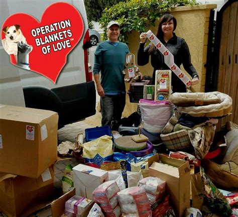 operation blankets of love|donate blankets to dog shelters.